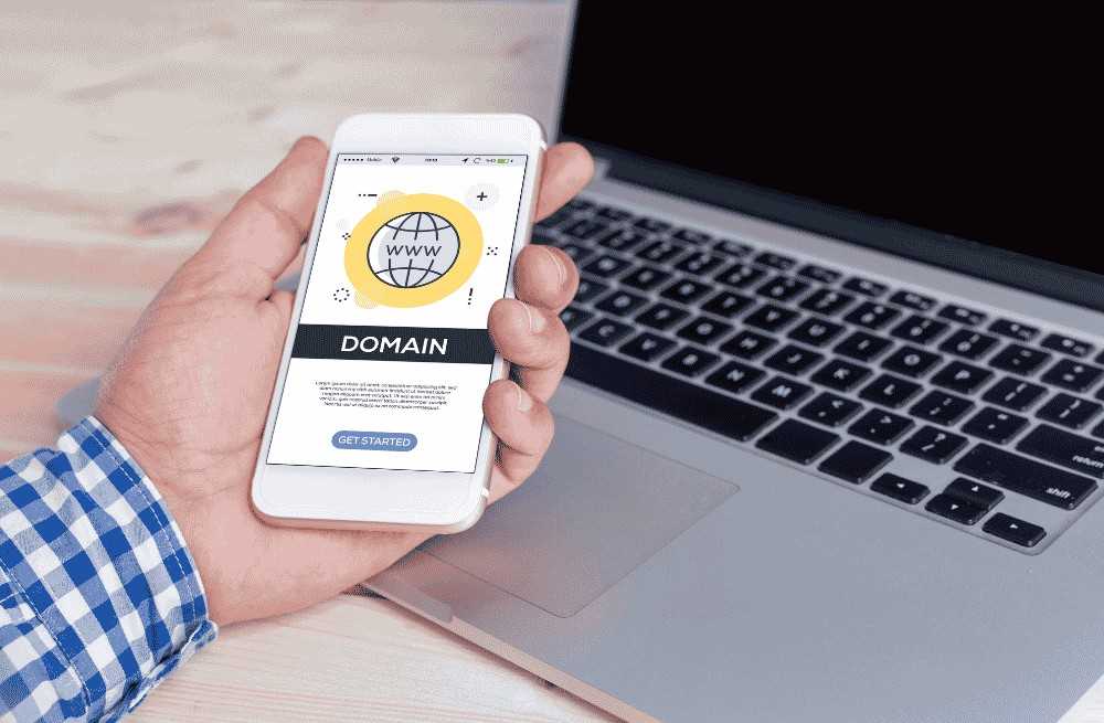 Domain Expertise